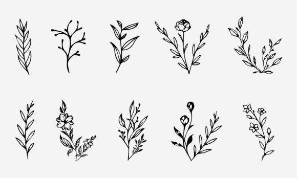 Download Flower Line Drawing Vector Illustration - Flower Collection